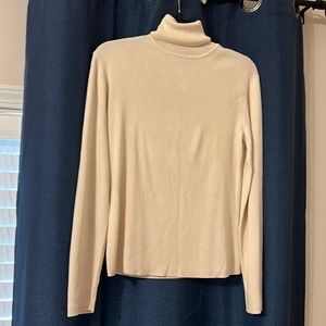 Silk Ann Taylor Turtleneck